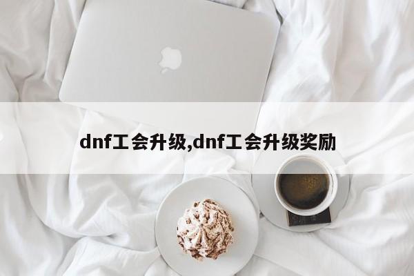 dnf工会升级,dnf工会升级奖励