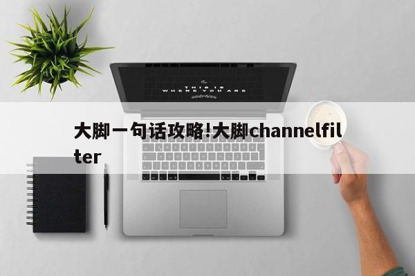 大脚一句话攻略!大脚channelfilter