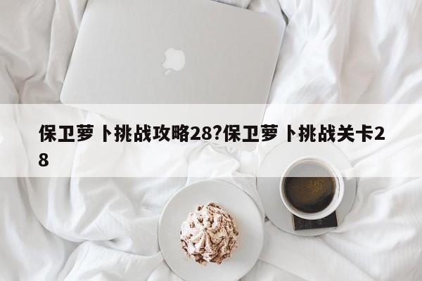 保卫萝卜挑战攻略28?保卫萝卜挑战关卡28