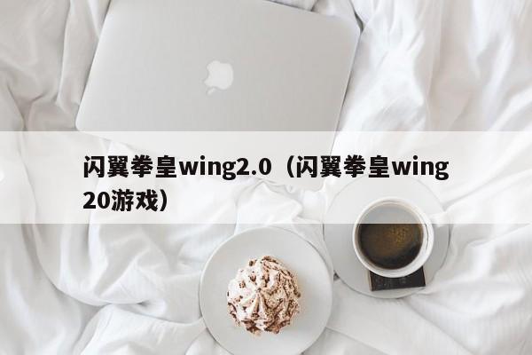 闪翼拳皇wing2.0（闪翼拳皇wing20游戏）
