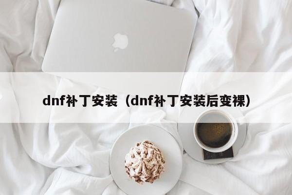 dnf补丁安装（dnf补丁安装后变裸）