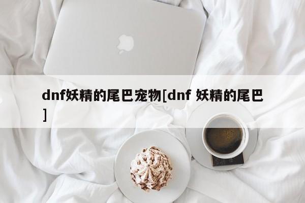 dnf妖精的尾巴宠物[dnf 妖精的尾巴]