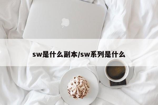 sw是什么副本/sw系列是什么