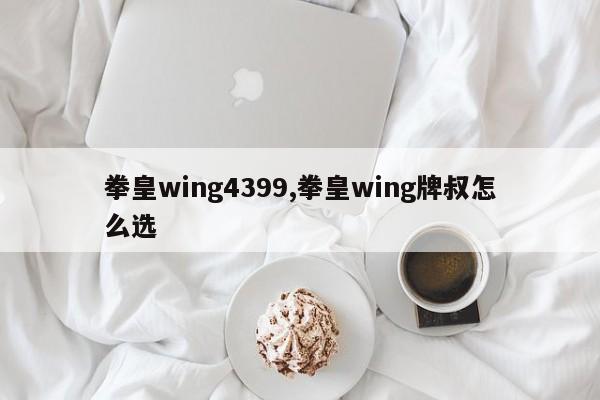 拳皇wing4399,拳皇wing牌叔怎么选